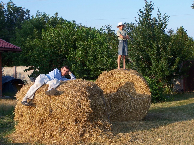 Як підлітку заробити в селі