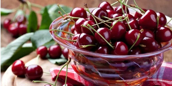Чим корисна черешня для здоров’я